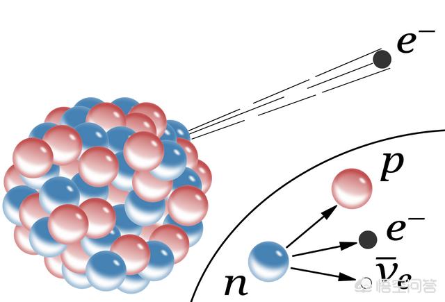 鹿角虫寿命是多少:原子、质子、中子、电子等微观粒子有寿命吗？