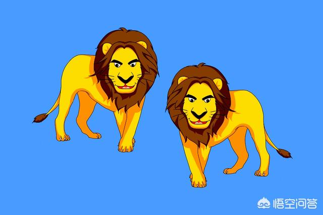 蓝猫幼儿数学大班:大班孩子数学题反反复复都学不会，怎么办？