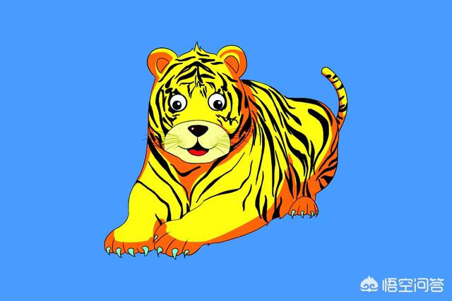 蓝猫幼儿数学大班:大班孩子数学题反反复复都学不会，怎么办？