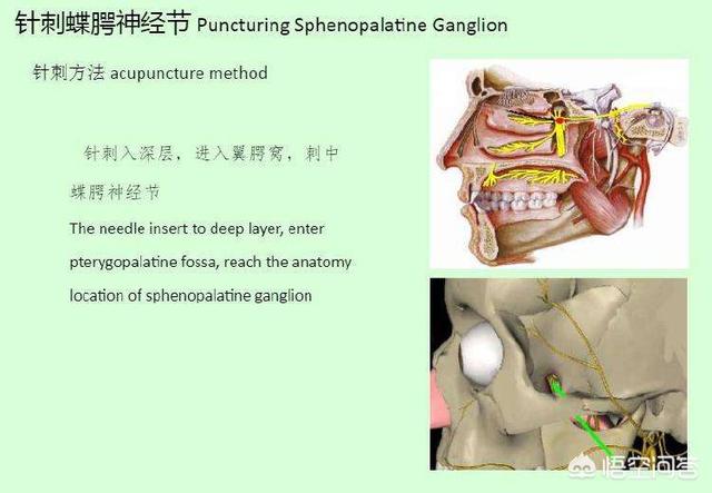 过敏性鼻炎看五官科还是呼吸科?过敏性鼻炎可以看呼吸科吗