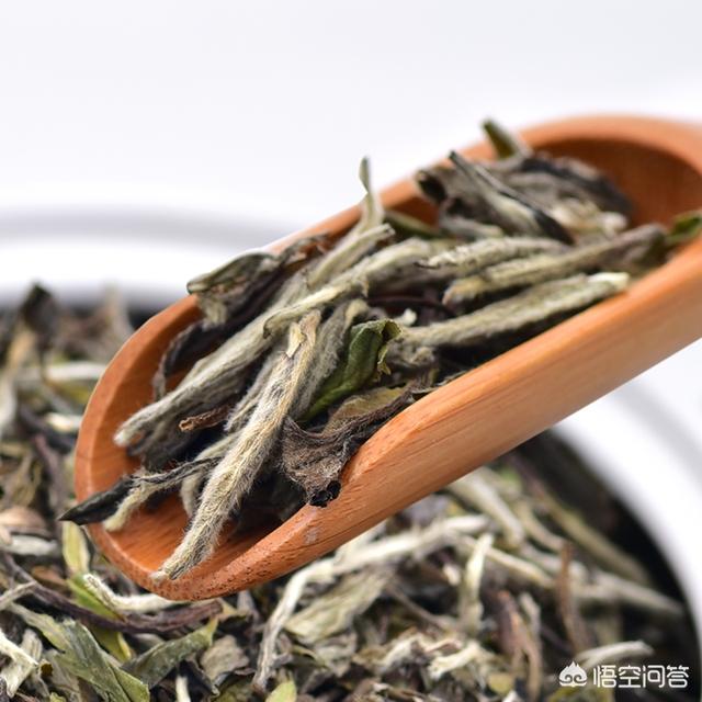 白毫银针陈茶好还是新茶好如何鉴别白毫银针的优劣以及它的冲泡方法