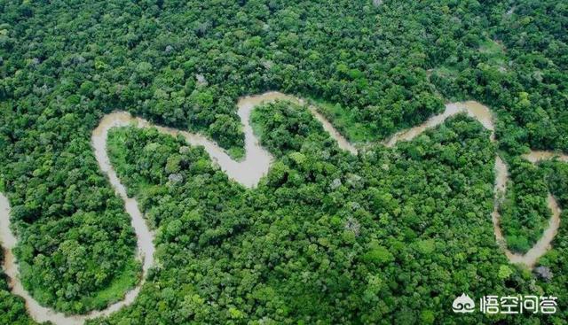 14大恐怖生物，这个世界到底有多少诡异生物