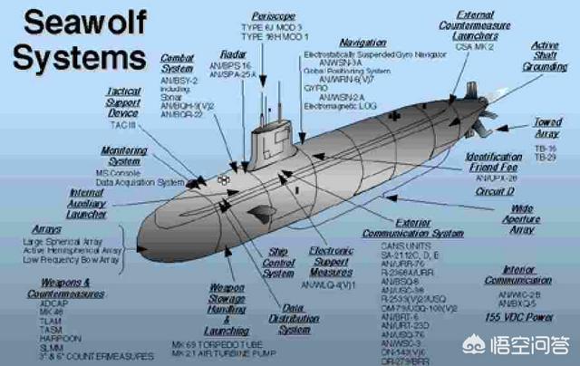 俄罗斯陆龟分类:核潜艇分类，一般国家只有战略、攻击两种，为啥俄罗斯有三种？