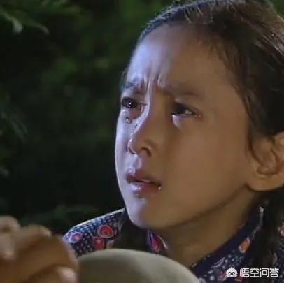 长沙罗刚:电视剧《渴望》当年有多火？
