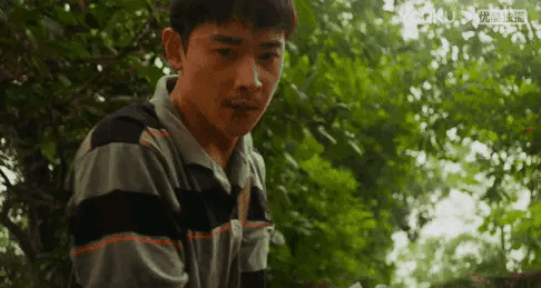 重生剧情:电影《灰烬重生》你看懂了吗