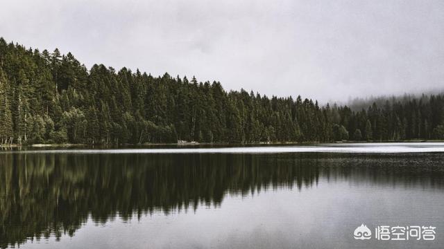 表达情绪的唯美句子:形容心情风景优美的句子？(赞美风景优美的句子)