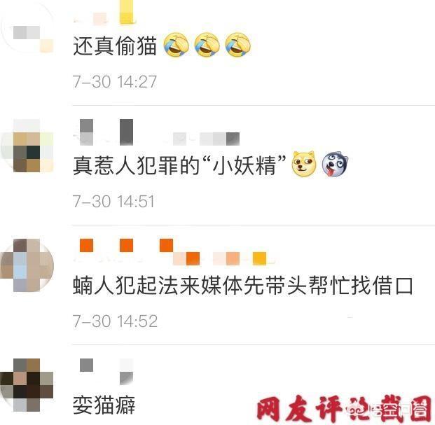 贪睡母女猫走红:东阳三男子爱猫成瘾，深夜偷猫又亲又抱，你有何看法？