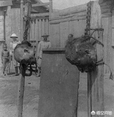 八国联军火烧圆明园时间:1900年八国联军侵略中国的理由是什么？你怎么看？