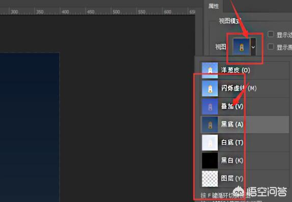 Photoshop 中利用‘选择并遮住’功能精确抠图技巧