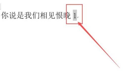 word怎么把数字上标，在word2010中如何设置上标