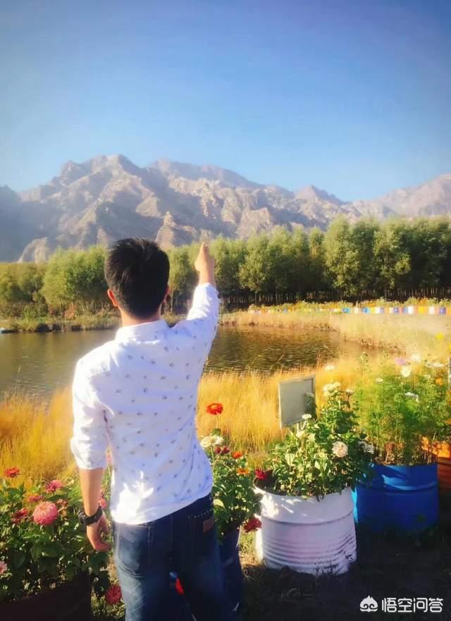 茶花缺水严重落叶怎么补救