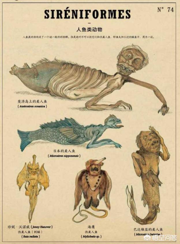 1962年活鲛人是真的吗，《山海经》和《搜神记》中神秘的生物鲛人真的存在吗