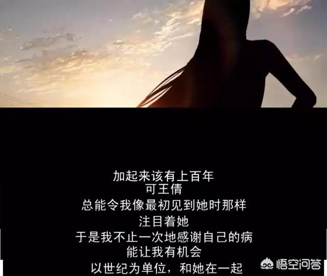 小狗克罗历险记上映时间:如何评价《李献计历险记》这部国产动画？里面有哪些亮点？ 小狗克罗历险记
