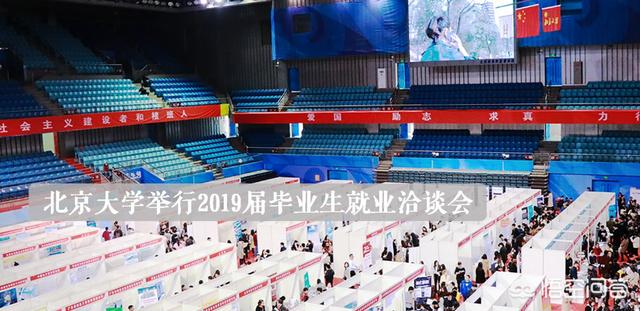cpn金毛论坛:苹果与高通和解后，下一部iPhone信号会变好吗？ 关于金毛的up主
