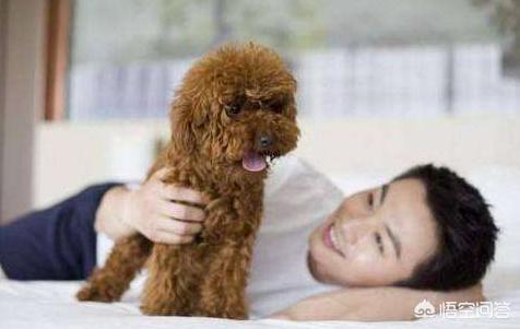 贱母狗:《水浒传》中王婆为何骂潘金莲是“咬虫”？有什么特殊含义吗？