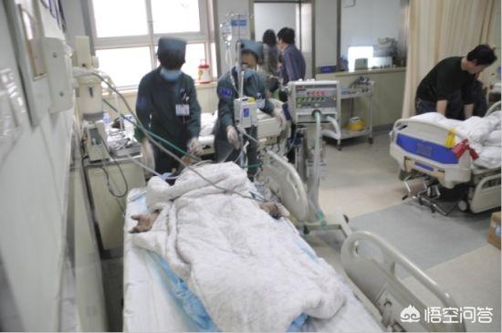 关于医院的灵异事件:在医院上班的人都经历过哪些诡异的事情？