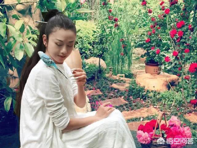 杨丽萍资料:金星的个人履历是怎样的，对此你怎么评价