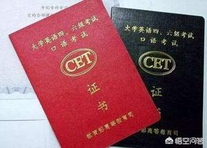 维洛司官网:全国大学英语四六级考试(CET)成绩查询的官网？
