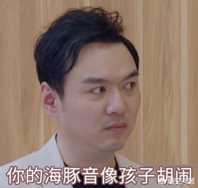 伊能静黄圣依张萌一组:《乘风破浪的姐姐》中伊能静黄圣依张萌的组合相处得怎么样？