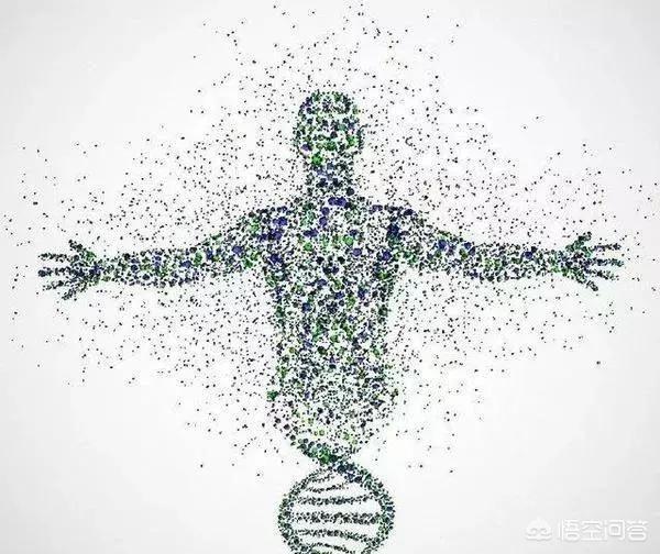 人类杀死了地球原住民:为何有人说真正的人类已经灭绝？