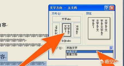 word怎么竖着打字,Word中怎么输入竖向文字？