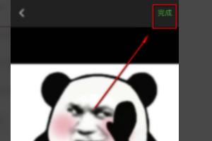 怎么知道微信表情图的意思