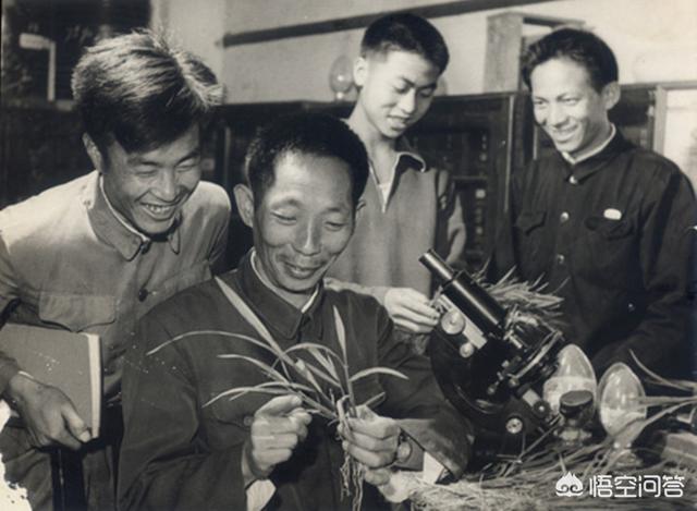 庚子年的灾难:有哪位大神能讲讲历史中的庚子年有什么大事发生过