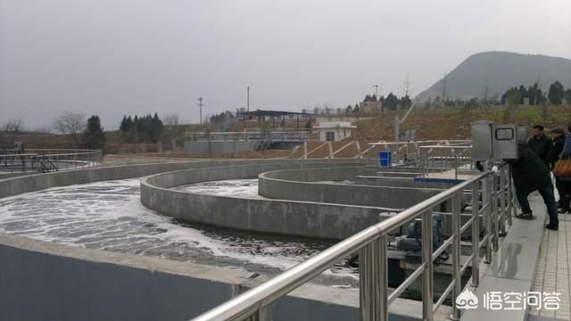 小区化粪池都建在哪里:城市小区里的排泄物都冲到哪里了？