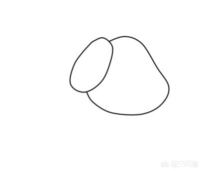 中华田园犬图片简笔画:小狗简笔画怎么画-侧身画？