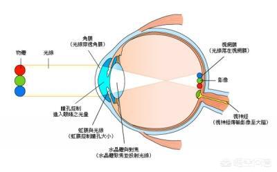 如果太阳被外星人一秒内偷走，地球人是否八分钟后才能发现