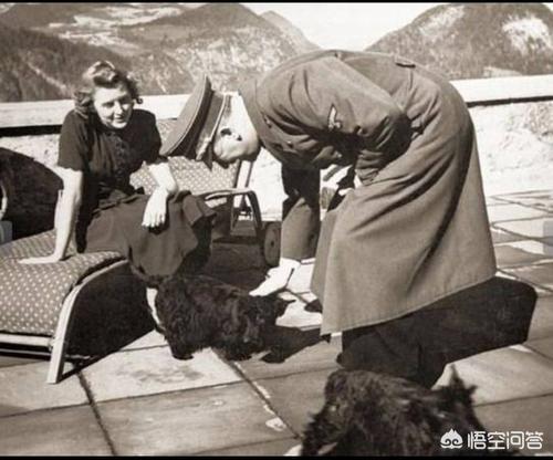 陈百强死亡之谜:希特勒之死，为何如此蹊跷
