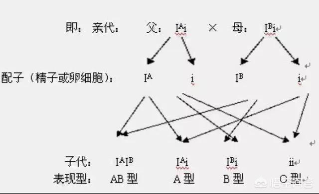 头条问答 一家人的血型是一样的吗 51个回答