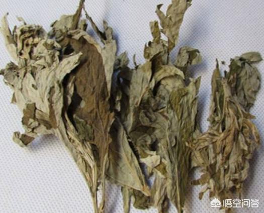 肤蝇蛆头皮:大葱生有韭蛆该如何治疗？