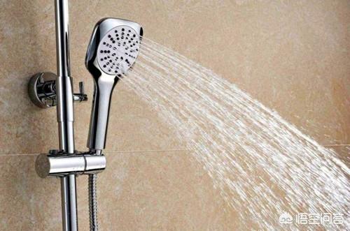 精品约克夏图片:约克夏为什么洗澡会拉稀？