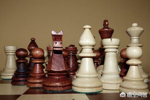 有哪些比较专业的玩国际象棋的软件？
