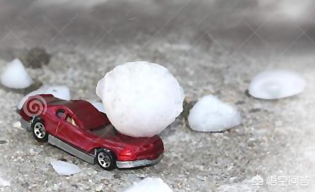 车险有哪些项目(车险全保包括哪些项目)