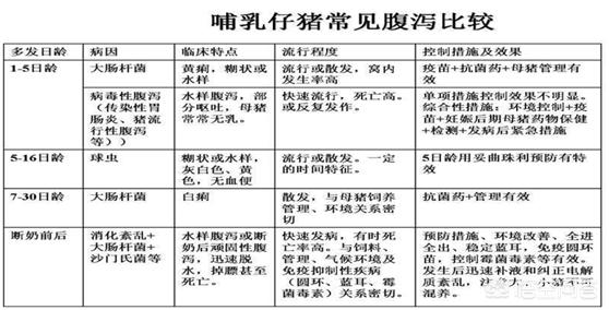 哺乳期拉肚子带血怎么回事:三个多月牛犊拉稀带血怎么回事？