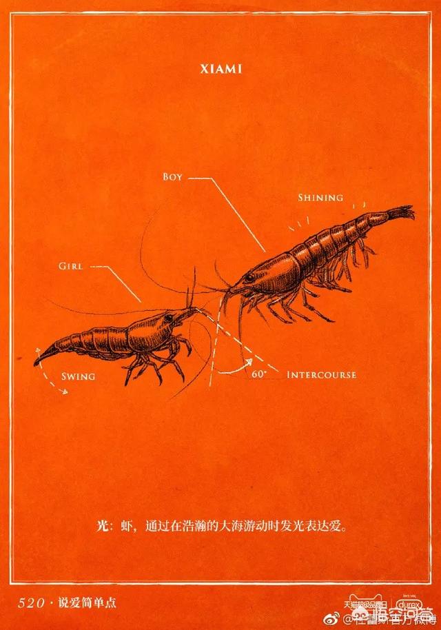 你见过最有<a href=https://maguai.com/list/57-0-0.html target=_blank class=infotextkey>创意</a>的<a href=https://maguai.com/list/28-0-0.html target=_blank class=infotextkey>广告</a>文案是怎么样的