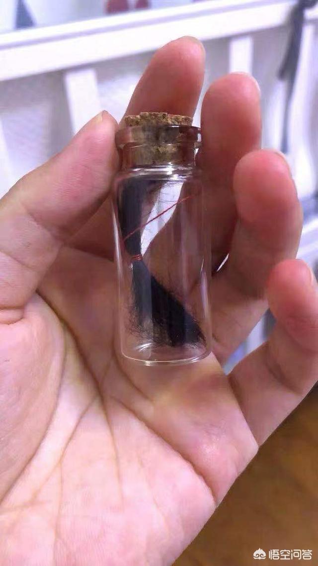 为什么有人说宝宝的胎毛要保留起来？有什么作用？插图34