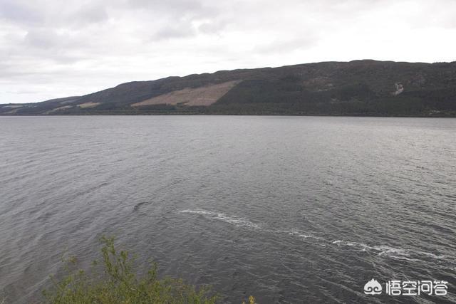 尼斯湖水怪死亡照片，尼斯湖巨大水怪再现身，清晰照确认为新水怪！它到底是什么生物