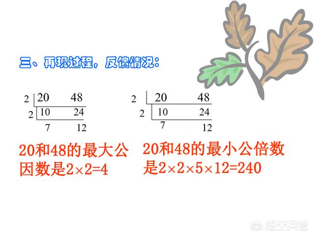 什么是公倍数,最大公因数和最小公倍数概念？