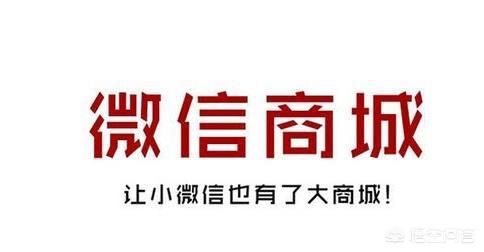 有没有哪家公司提供免费的微商城,后续不会出现什么乱七八糟收费的那种？