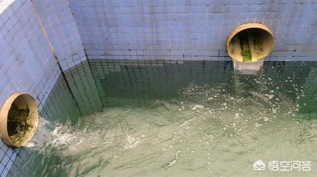 小区化粪池都建在哪里:城市小区里的排泄物都冲到哪里了？