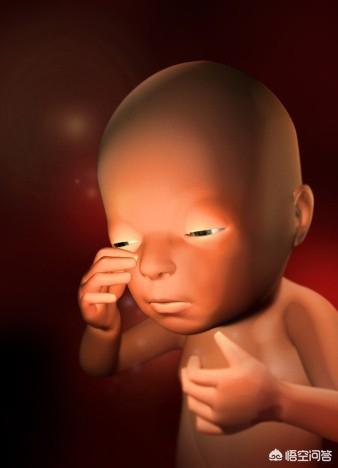 孕妇吃什么会使宝宝的眼睛又亮又大？