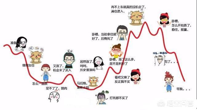 于盈:基金定投做到年化率20%高吗