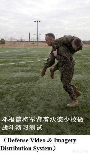 美国防暴犬厉害吗:北美灰狼的战斗力有多强?能对抗狮子老虎吗？