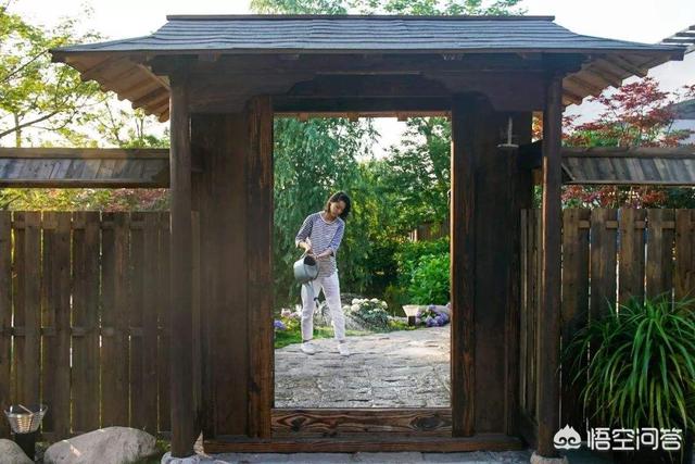 怎么做院子围墙又便宜又好看？插图51