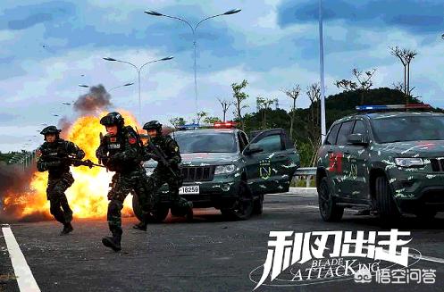 严小雨:如何评价电视剧《利刃出击》