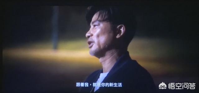 导肓犬小q在线观看:如何评价任达华、梁咏琪主演的关于导盲犬电影《小Q》？