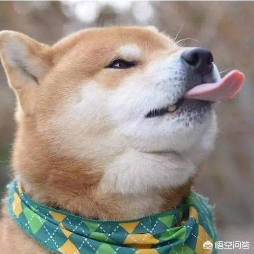 贱母狗:《水浒传》中王婆为何骂潘金莲是“咬虫”？有什么特殊含义吗？